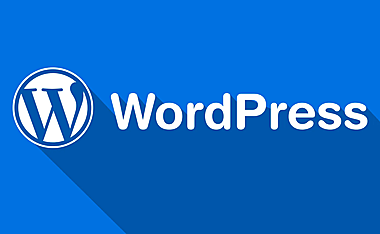 解决WordPress强制插入到文章的图片尺寸为全尺寸，解决方法来了！