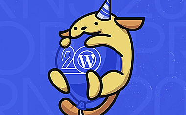 WordPress 将迎来 20 周年纪念日- 2023年5月27日