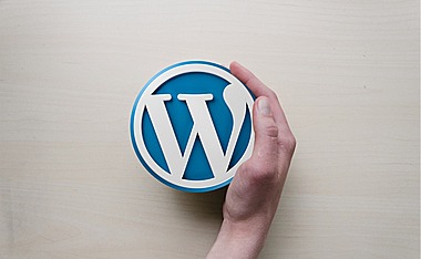 WordPress是世界上最流行且最强大的开源CMS系统