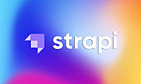 如何用Strapi搭建网站？基于Nodejs的开源免费CMS框架，新手教程
