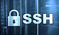 生成、添加 SSH 公钥，SSH 公钥设置